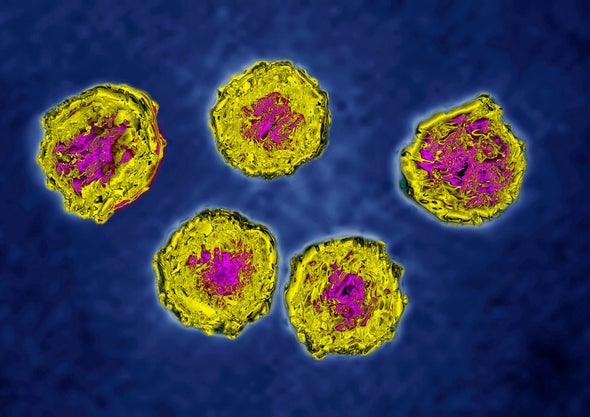 Getting Closer to Eliminating the Wild Poliovirus
