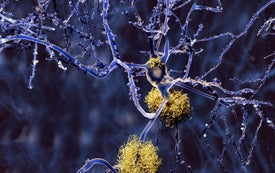 Landmark Alzheimer's Drug Approval Confounds Research Community